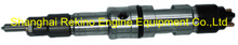 612630090012 0445120266 0445120127 Fuel injector Weichai engine parts for WD12 WP12