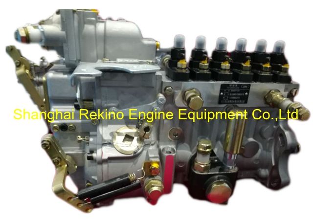 BP20K4 612600082292 Longbeng fuel injection pump for Weichai engine parts WD12C375-21 WD12