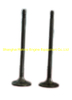 Intake valve 610800050049 for Weichai WP7 engine parts