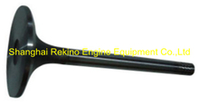 Weichai Deutz 226B WP4 WP6 intake valve 12159606 engine parts