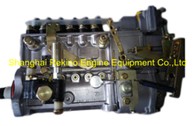 BP20J6 612600082288 LONGBENG Fuel injection pump for Weichai WD12C300-15