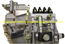 BP13J6 13054788 Longbeng fuel injection pump for Weichai WP4C102-15