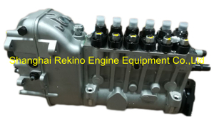 BP6646 616067220000 Longbeng fuel injection pump for Weichai R6160ZC490-2