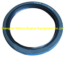 612630030009 rear oil seal Weichai engine parts for WP12