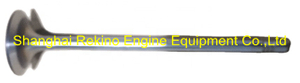 612630050001 Intake valve Weichai WP13 engine parts