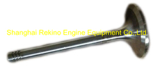 Weichai Deutz 226B WP4 WP6 exhaust valve 12159608 engine parts